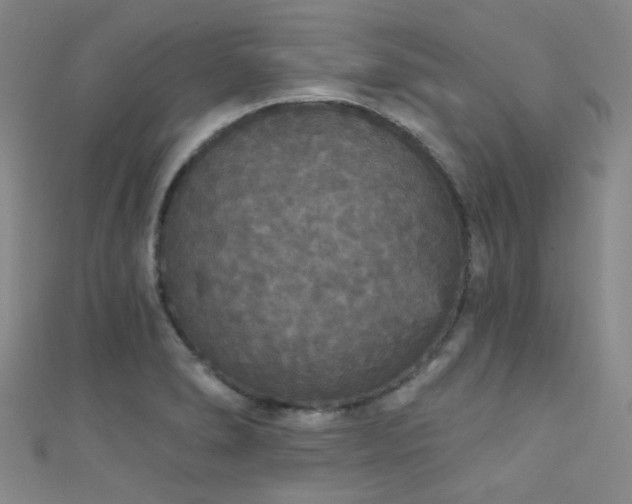 X0000111591278200907161446