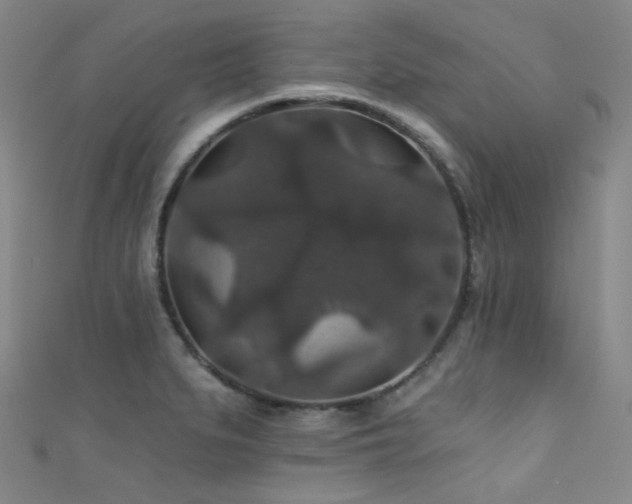 X0000111591279200907161446