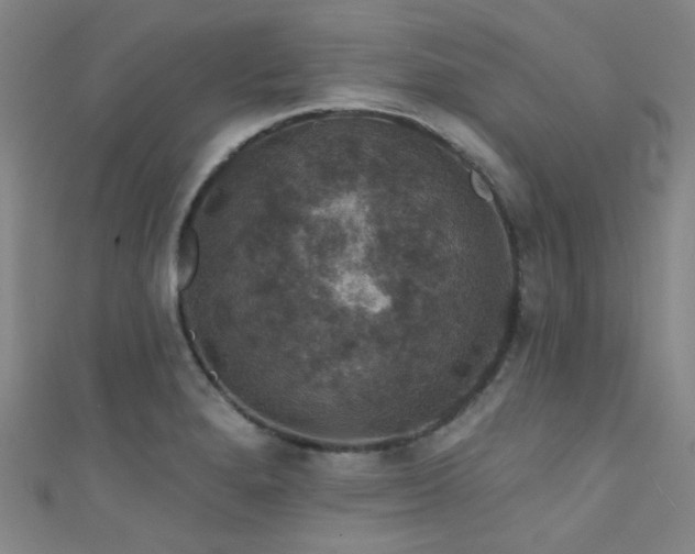 X0000111591280200907161446