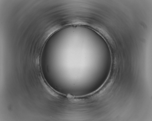 X0000111591281200907161446