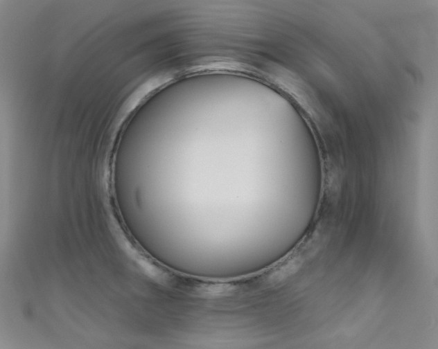 X0000111591282200907161446