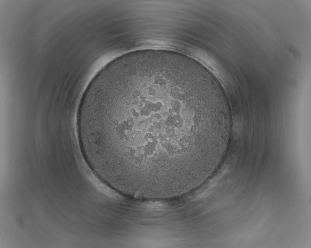 X0000111591283200907161446