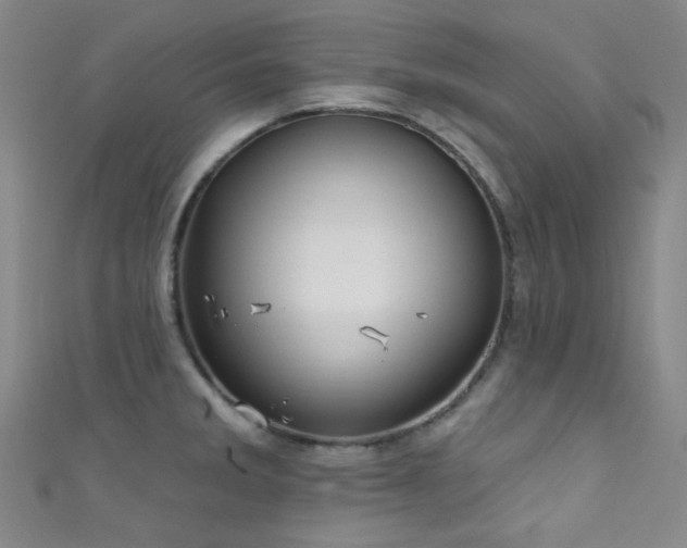 X0000111591285200907161446