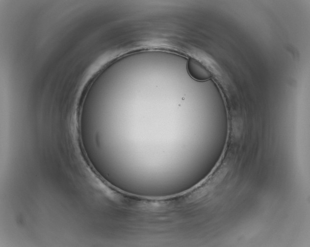 X0000111591286200907161446