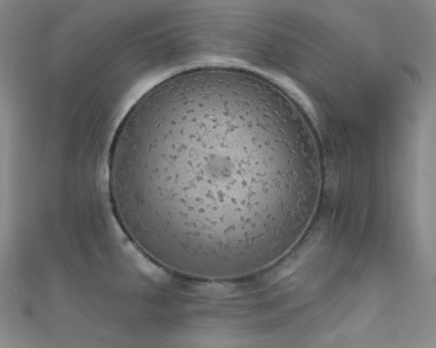 X0000111591287200907161446