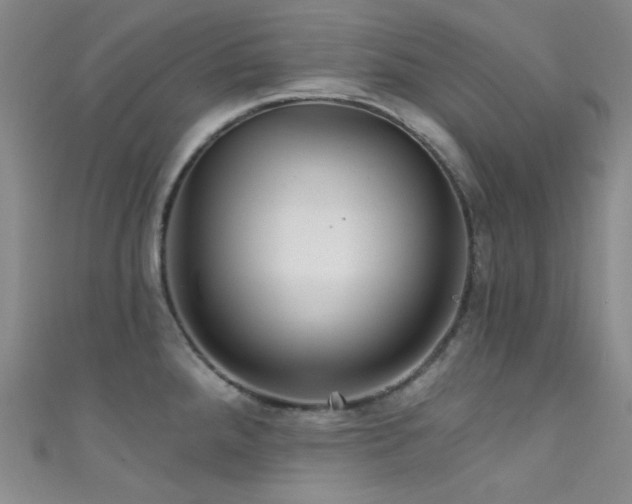 X0000111591288200907161446