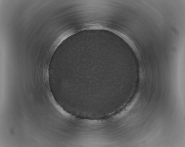 X0000111591289200907161446