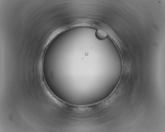 X0000111591290200907161446