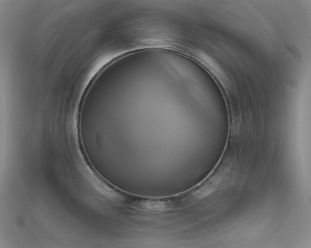 X0000111591291200907161446