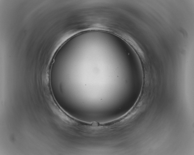 X0000111591292200907161446