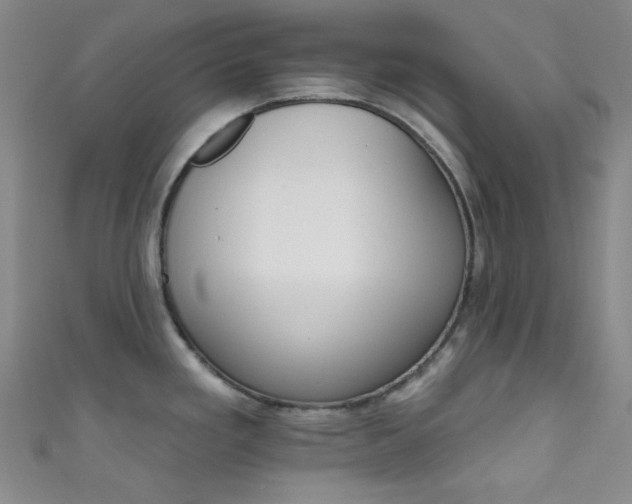 X0000111591293200907161446