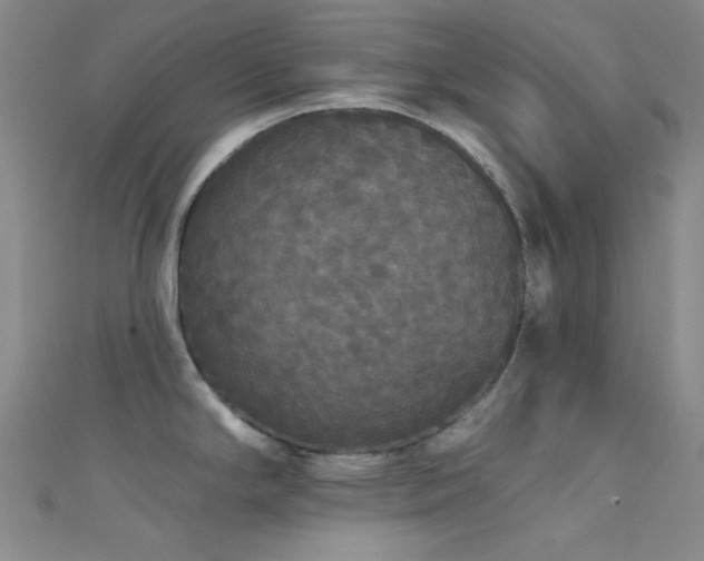 X0000111591294200907161446