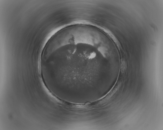 X0000111591295200907161446