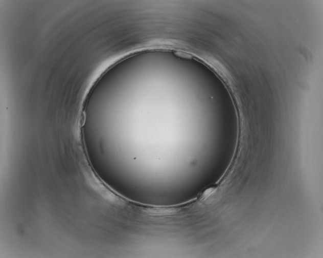 X0000111591296200907161446