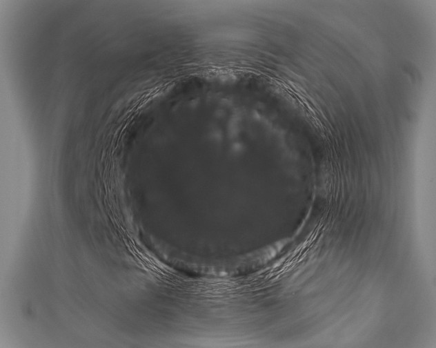 X0000111591297200907161445