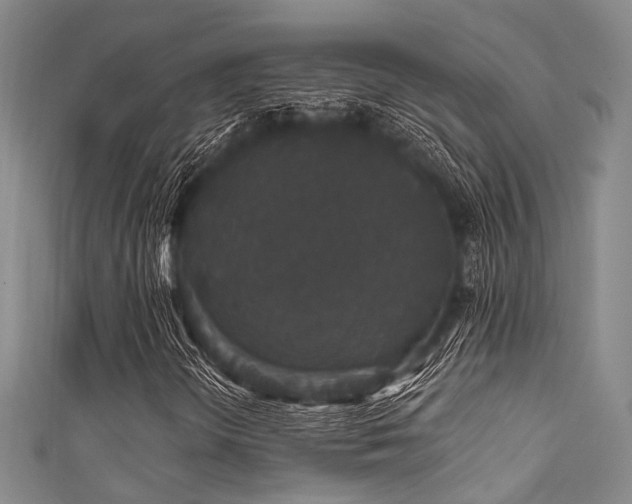 X0000111591298200907161445