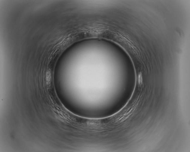 X0000111591299200907161445