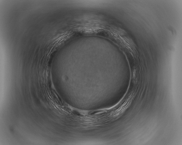 X0000111591300200907161445