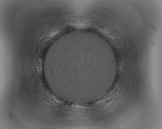 X0000111591301200907161445