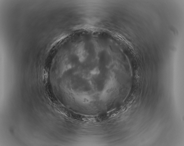 X0000111591302200907161445