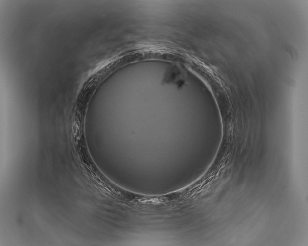 X0000111591303200907161445