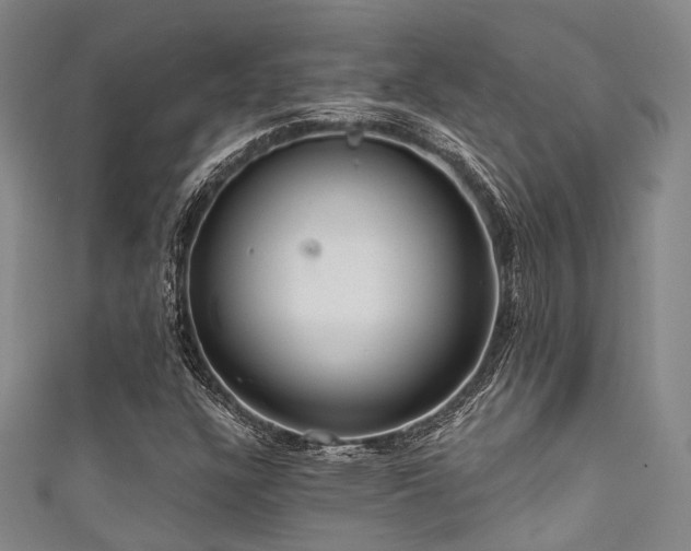 X0000111591304200907161445