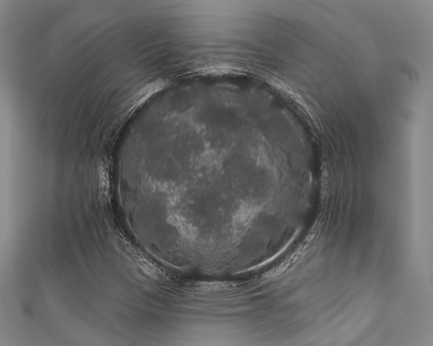 X0000111591305200907161445