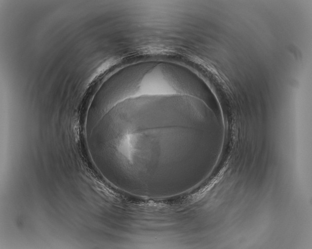 X0000111591306200907161445