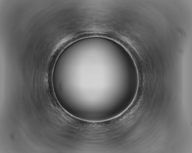 X0000111591307200907161445