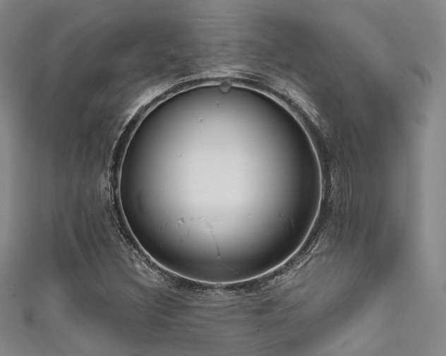 X0000111591308200907161445