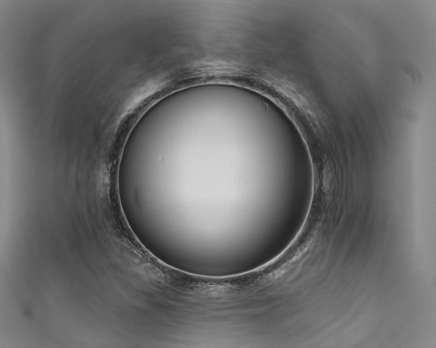 X0000111591309200907161445