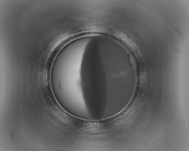 X0000111591310200907161445