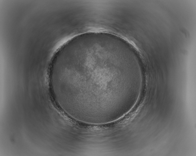 X0000111591311200907161445