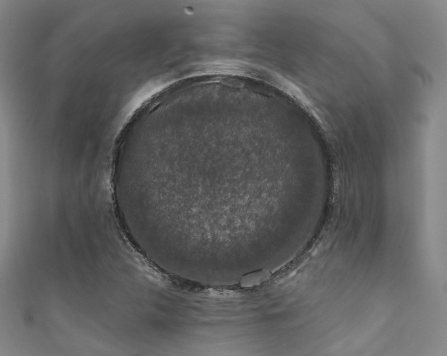 X0000111591312200907161445