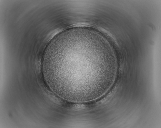 X0000111591313200907161445