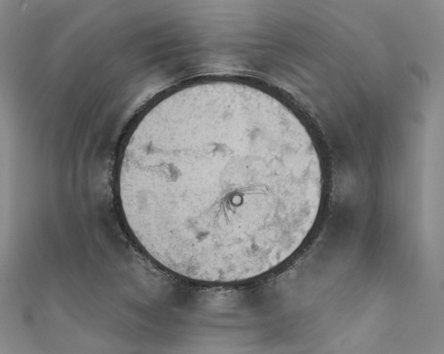 X0000111591314200907161445