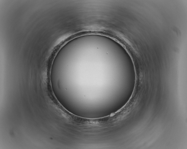 X0000111591315200907161445