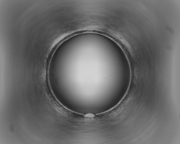 X0000111591316200907161445