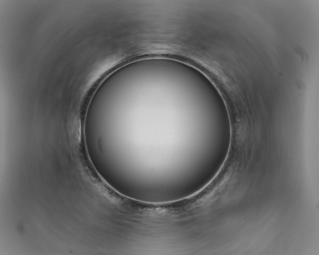 X0000111591317200907161445