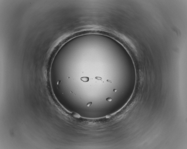 X0000111591318200907161445