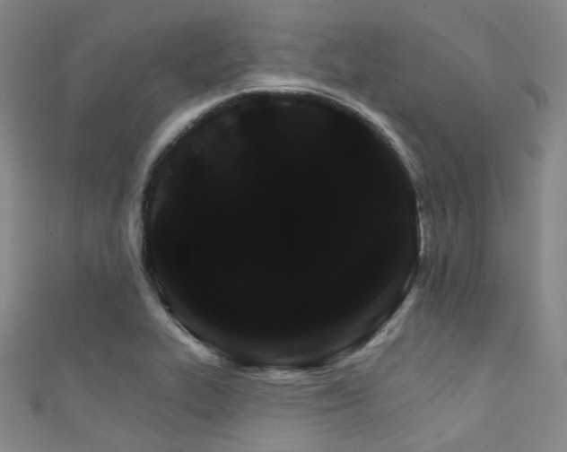 X0000111591319200907161445