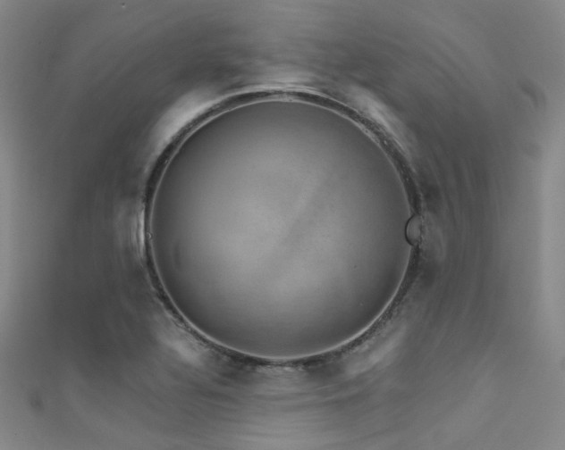 X0000111591320200907161445