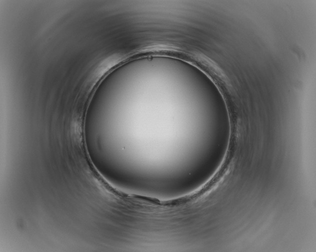 X0000111591321200907161445