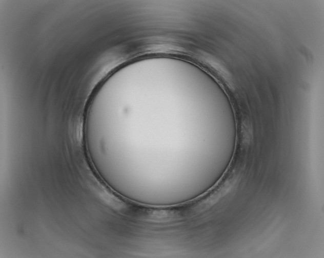 X0000111591322200907161445