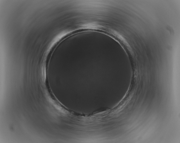 X0000111591323200907161445