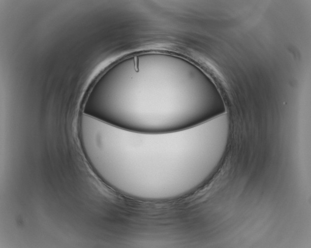 X0000111591324200907161445