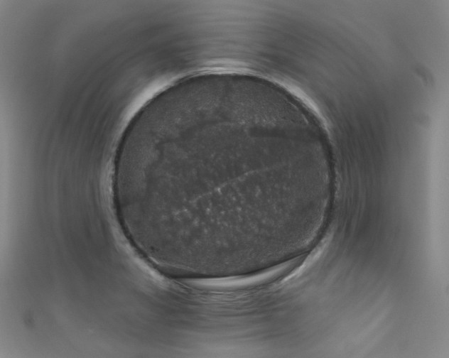 X0000111591325200907161445