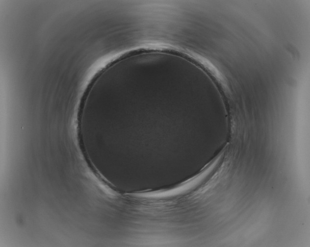 X0000111591327200907161445