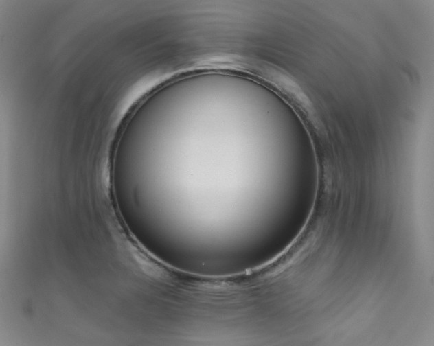 X0000111591328200907161445