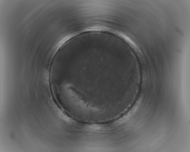 X0000111591329200907161445